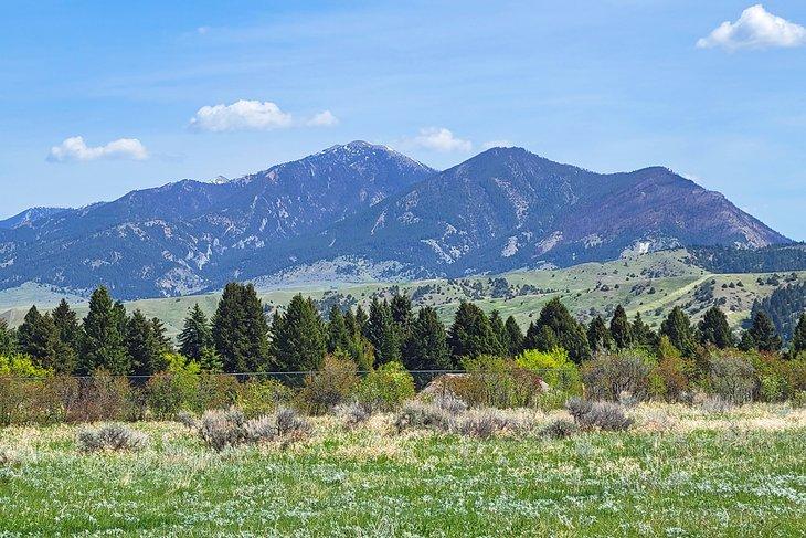 Vue de montagne depuis le Parc Burke