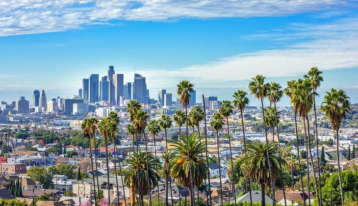 Vue des palmiers et du centre-ville de Los Angeles