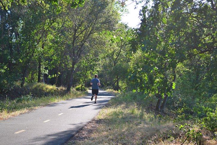 Sacramento River Trail