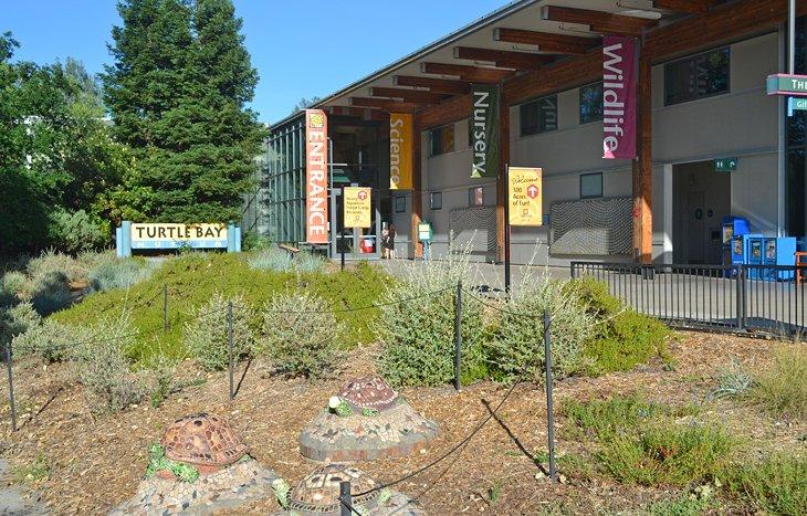Museo Turtle Bay Exploration Park