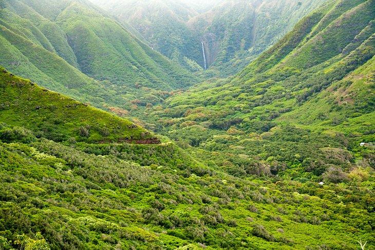 El exuberante Valle Halawa y las Cataratas Hipuapua