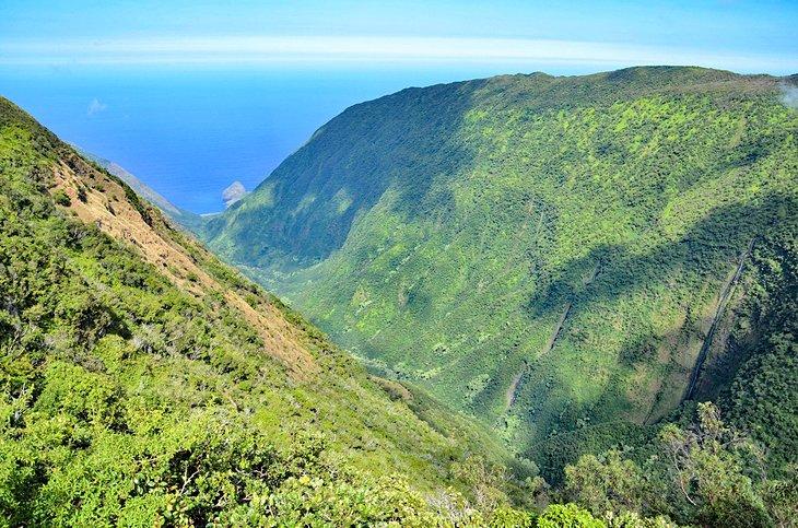 Mirador Waikolu en la Reserva Kamakou
