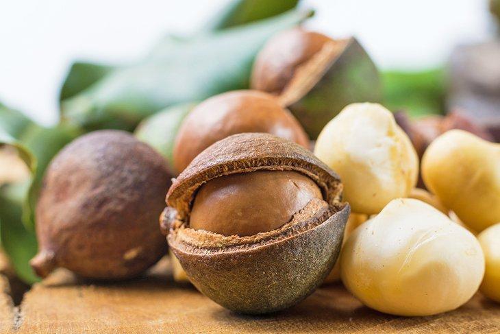 Nueces de macadamia