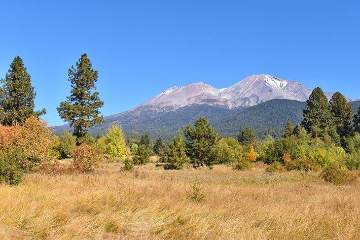 Mount Shasta