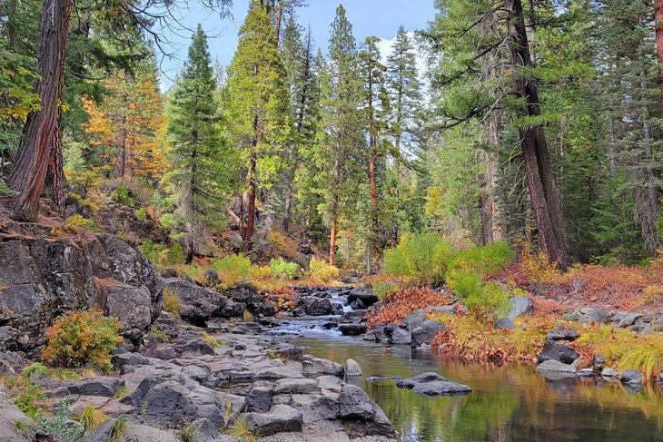 McCloud River, Bosque Nacional Shasta-Trinity