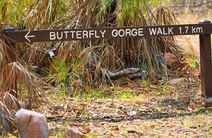 Wanderweg Butterfly Gorge
