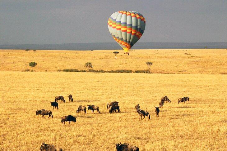 Montgolfière au-dessus de la réserve nationale de Masai Mara, Kenya