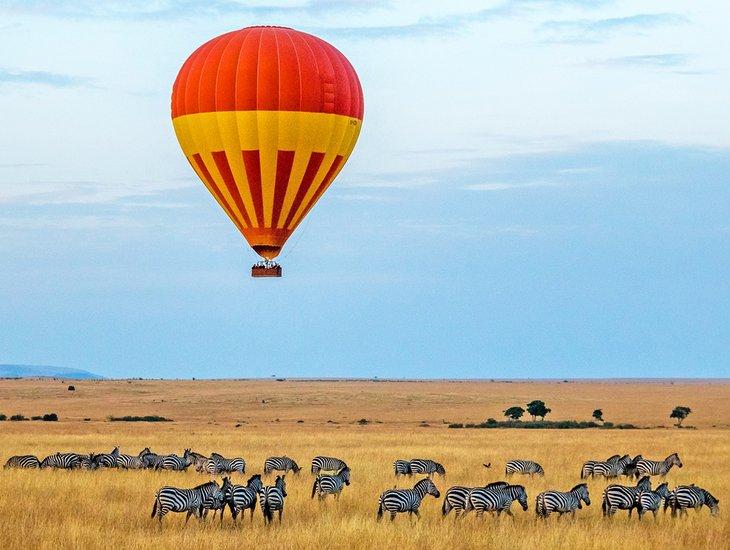 Zèbres et une montgolfière sur le Serengeti