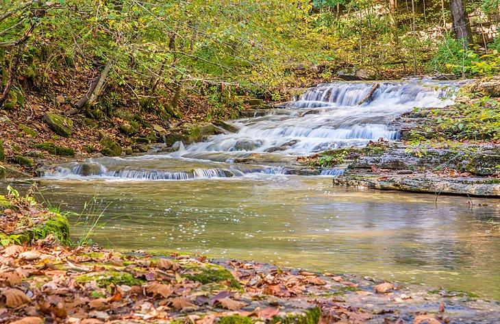 Refugio de Naturaleza Raven Run