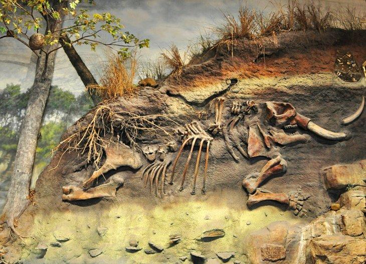 Musée de Découverte Boonshoft
