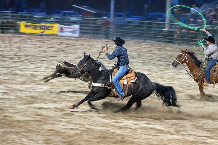 Rodeo de Jackson Hole