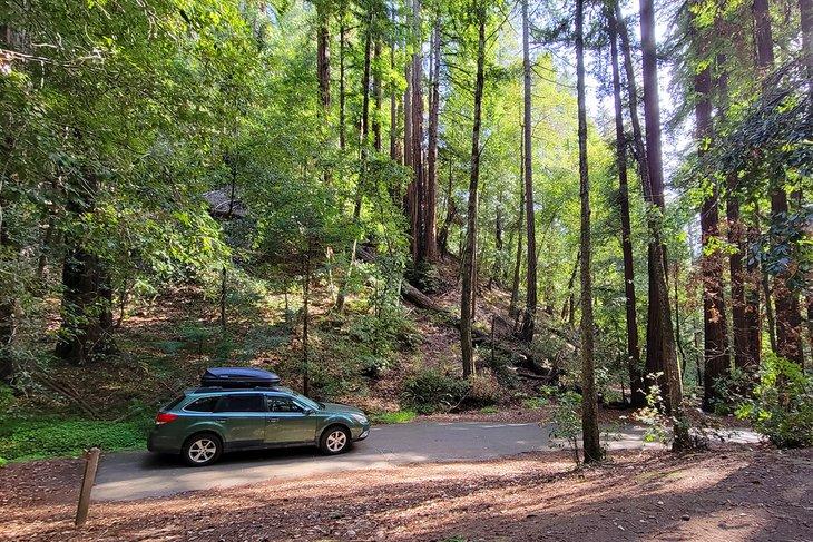 Parque Estatal de los Redwoods de Portola