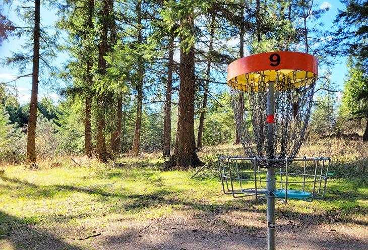 Hoyo de disc golf en Farragut State Park