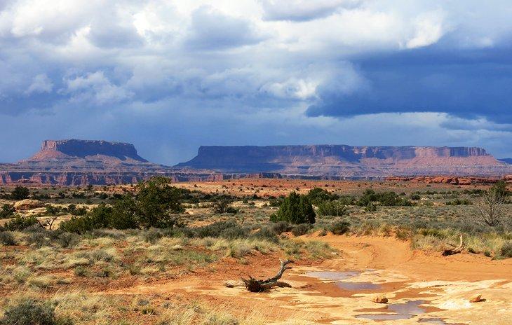 Colorado River Overlook Road en Canyonlands, Distrito Needles
