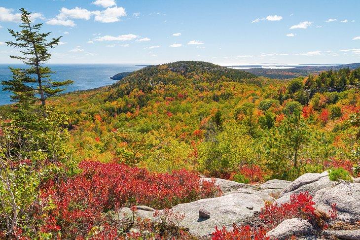 Hojas de otoño en el Parque Nacional Acadia