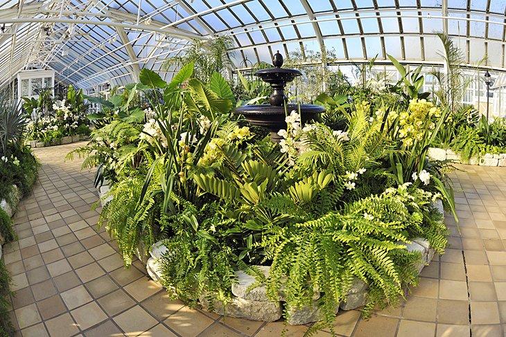Pflanzen im Franklin Park Conservatory
