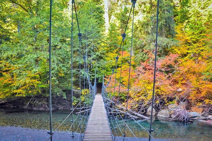 Hängebrücke zum Grove of the Patriarchs Trail