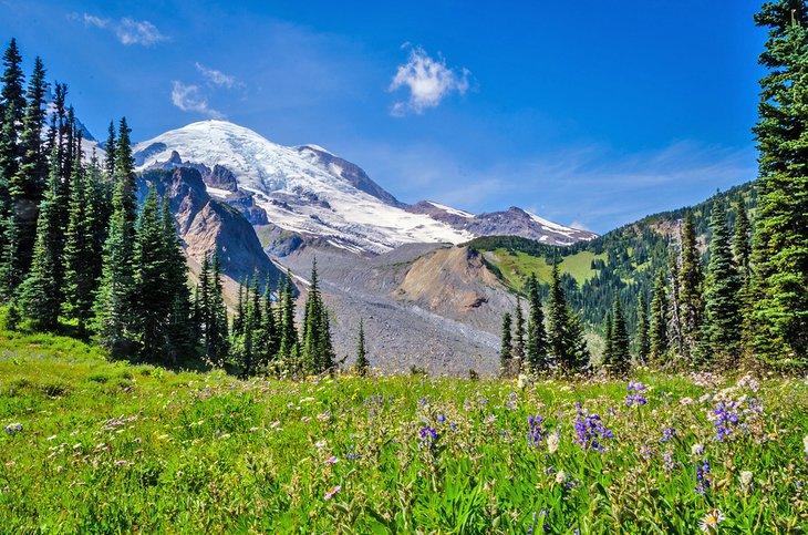 Mount Rainier vom Summerland