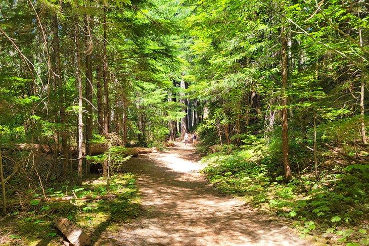 Der Weg zu den Silver Falls