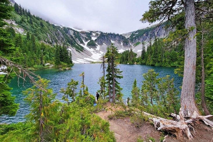 Benchs Lake an einem nebligen Tag im Mount Rainier Nationalpark
