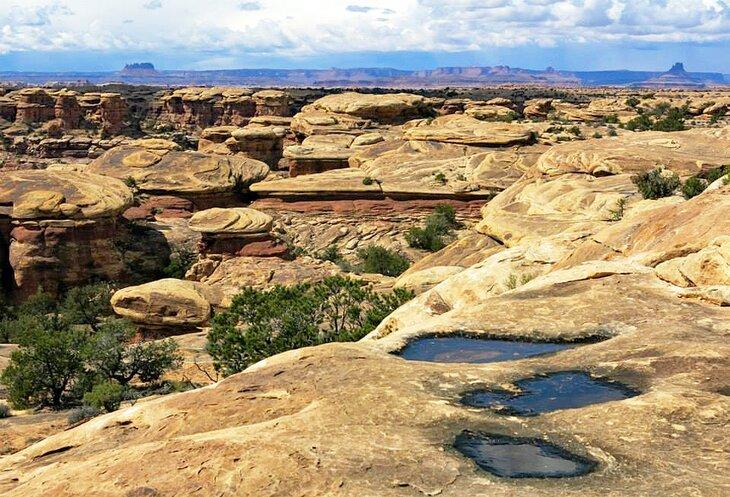 Sendero Pothole Point, Distrito de Needles