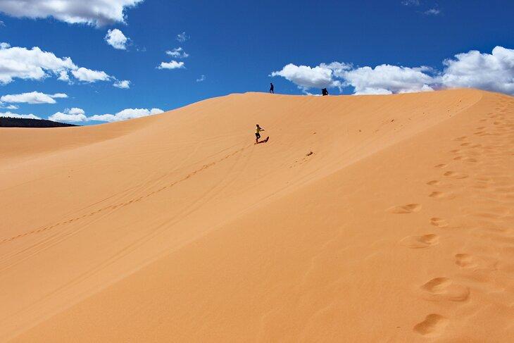 Una duna en el Parque Estatal Coral Pink Sand Dunes