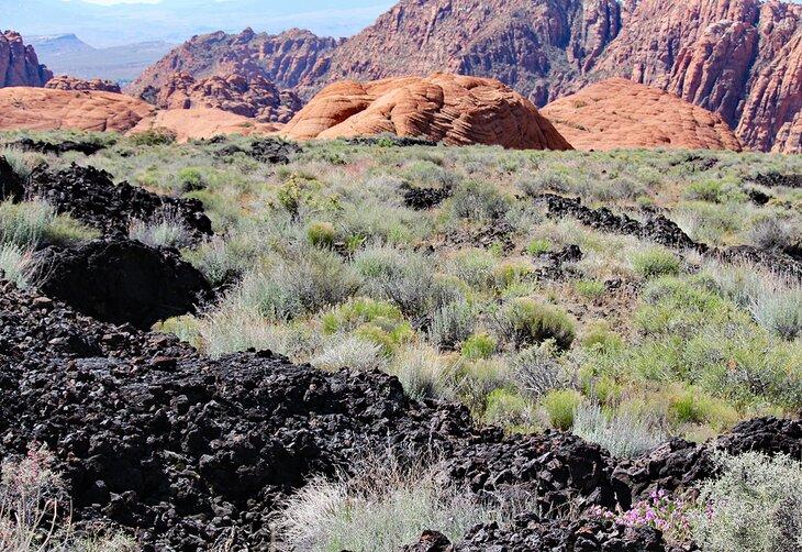 Flujo de lava en Snow Canyon State Park