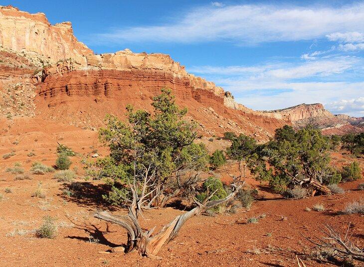 Paisaje en el Parque Nacional Capitol Reef