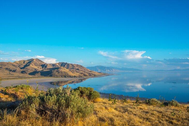 Parque Estatal Antelope Island