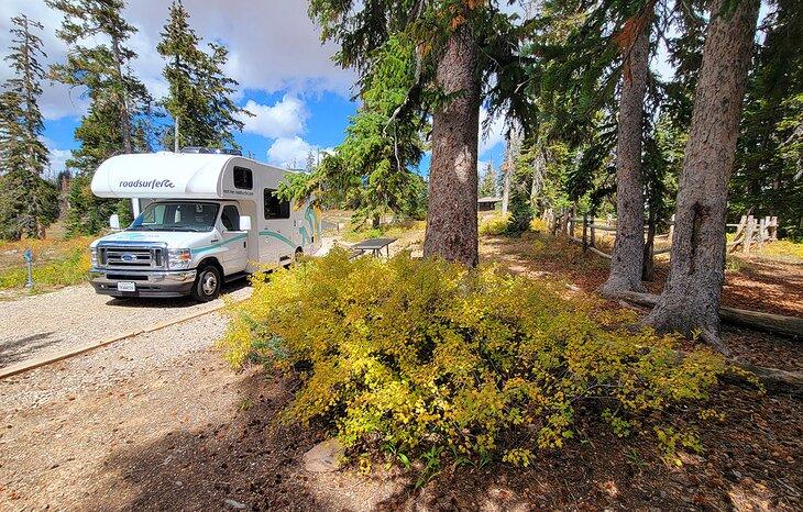 Un lugar de campamento de paso en Supreme Campground en Cedar Breaks National Monument