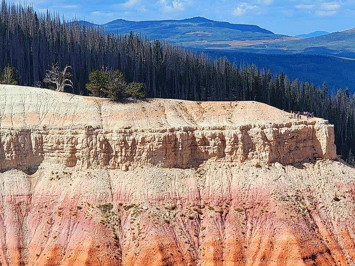 Pinos de Bristlecone y excursionistas en Spectra Point