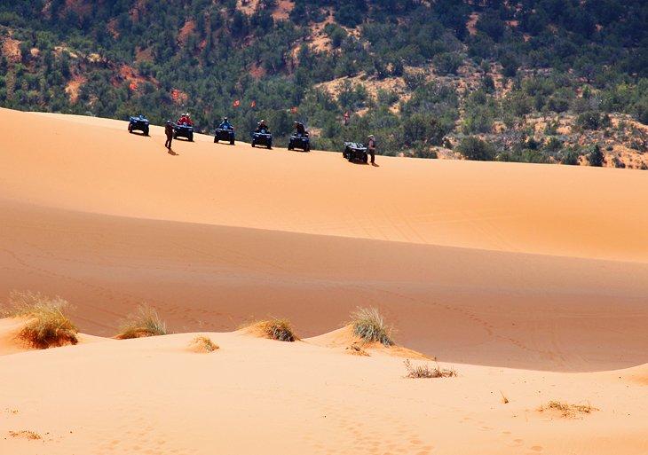 Parque Estatal Coral Pink Sand Dunes