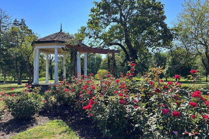 Jardín de Rosas Malcolm Gross en Allentown | Foto Copyright: Joni Sweet
