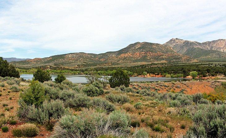 Camping en Baker Dam