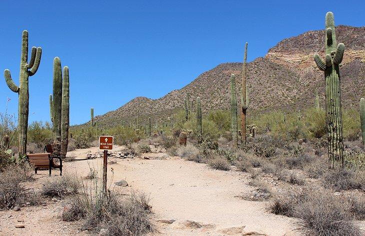 Sendero Wind Cave