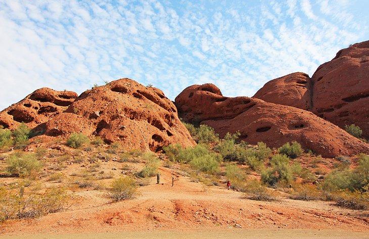 Senderos de Papago Park