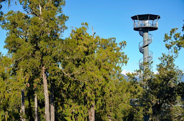 Le West Coast Treetop Walk