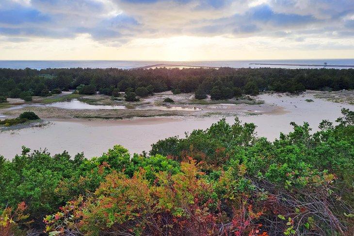 Vista desde el Faro del Río Umpqua