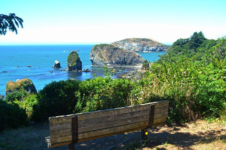 Vistas al océano en el Parque Estatal Harris Beach