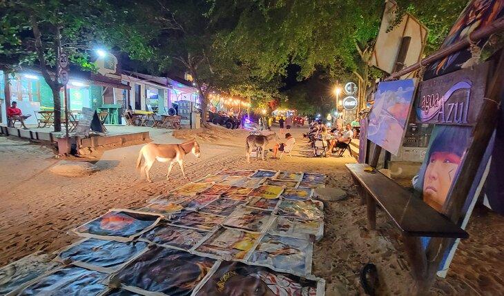 Burros en la calle por la noche en Jericoacoara