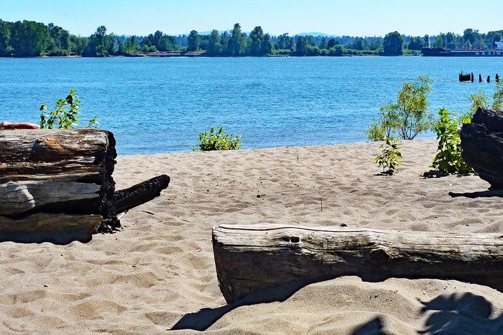 Playa Collins, Isla Sauvie