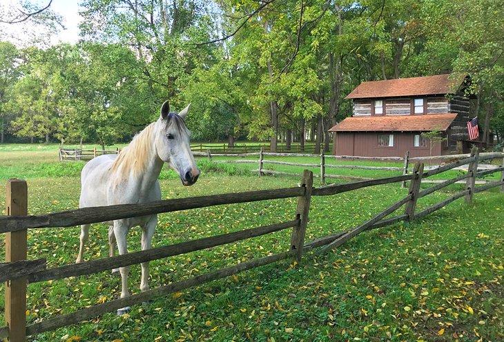 Un caballo y una antigua cabaña de troncos en el Parque Histórico Estatal Blennerhassett Island