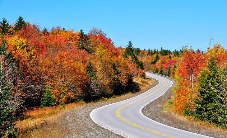 Autopista Escénica Highland