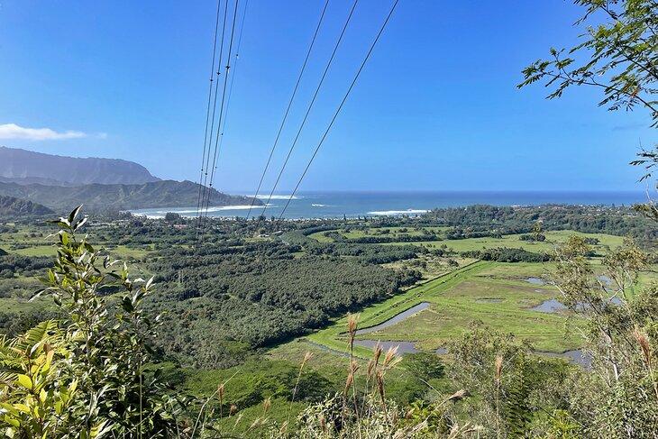 Vue de la vallée de Hanalei depuis le sentier Okolehao