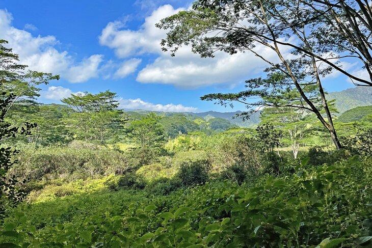 Sentier Kuilau Ridge