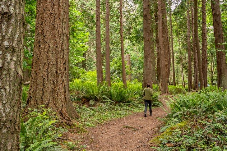 Waldweg im Ruckle Park