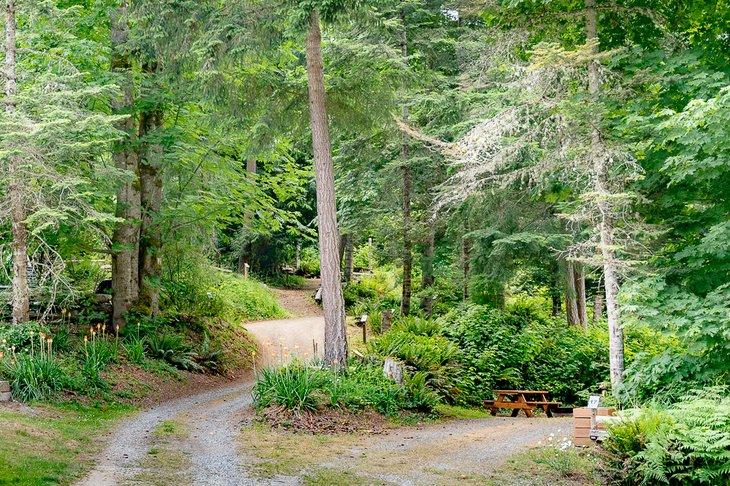 Mowhinna Creek Campingplatz