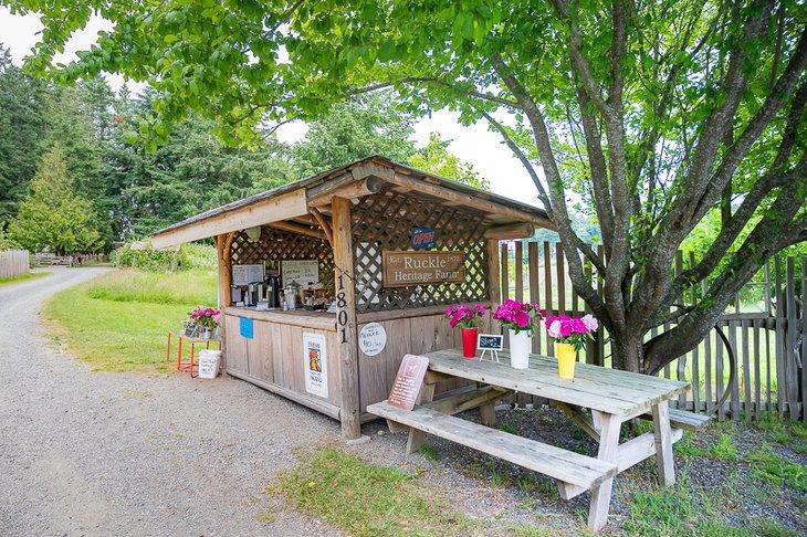 Essensstand im Ruckle Provincial Park