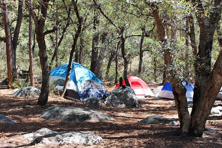 Camping General Hitchcock