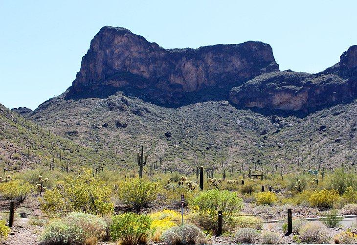 Camping del Parque Estatal Picacho Peak